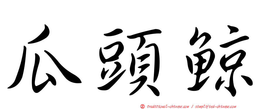 瓜頭鯨