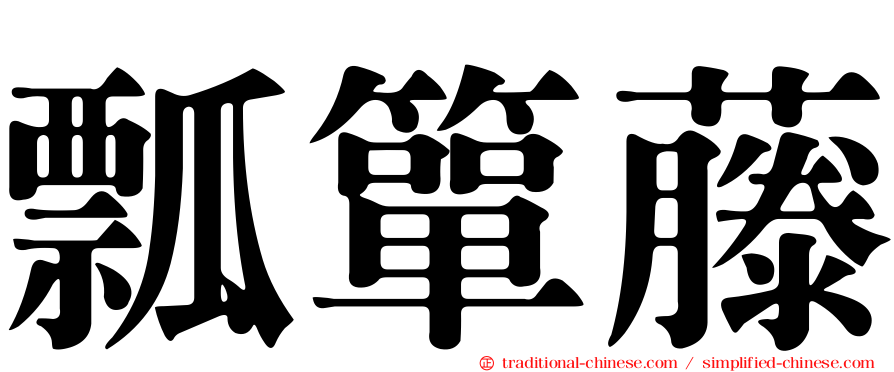 瓢簞藤