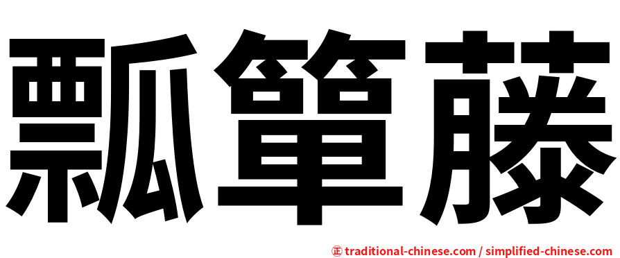 瓢簞藤
