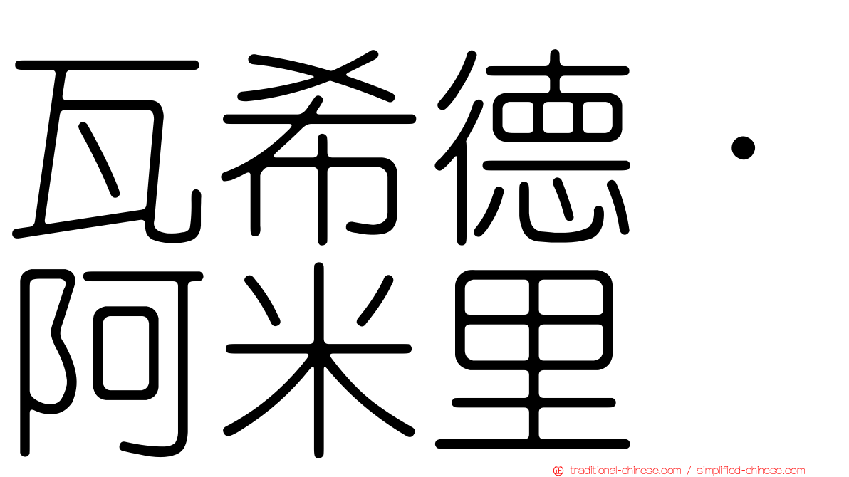 瓦希德·阿米里