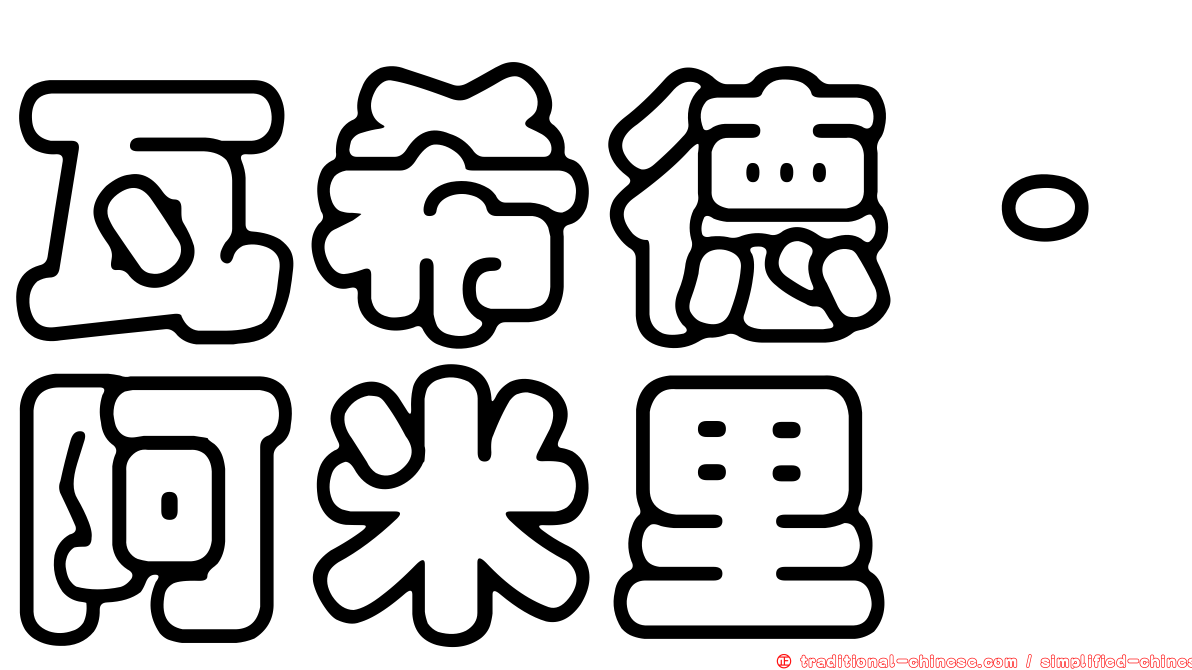 瓦希德·阿米里