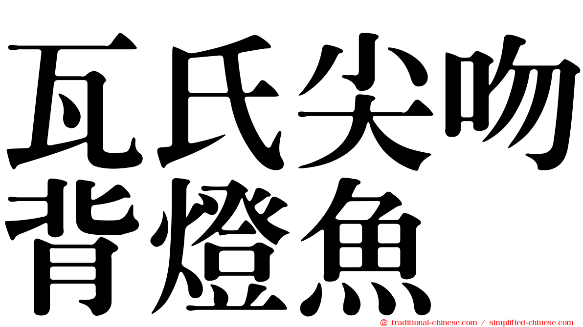 瓦氏尖吻背燈魚