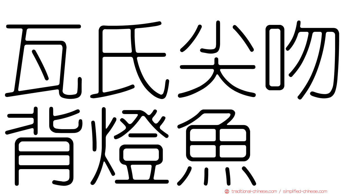 瓦氏尖吻背燈魚