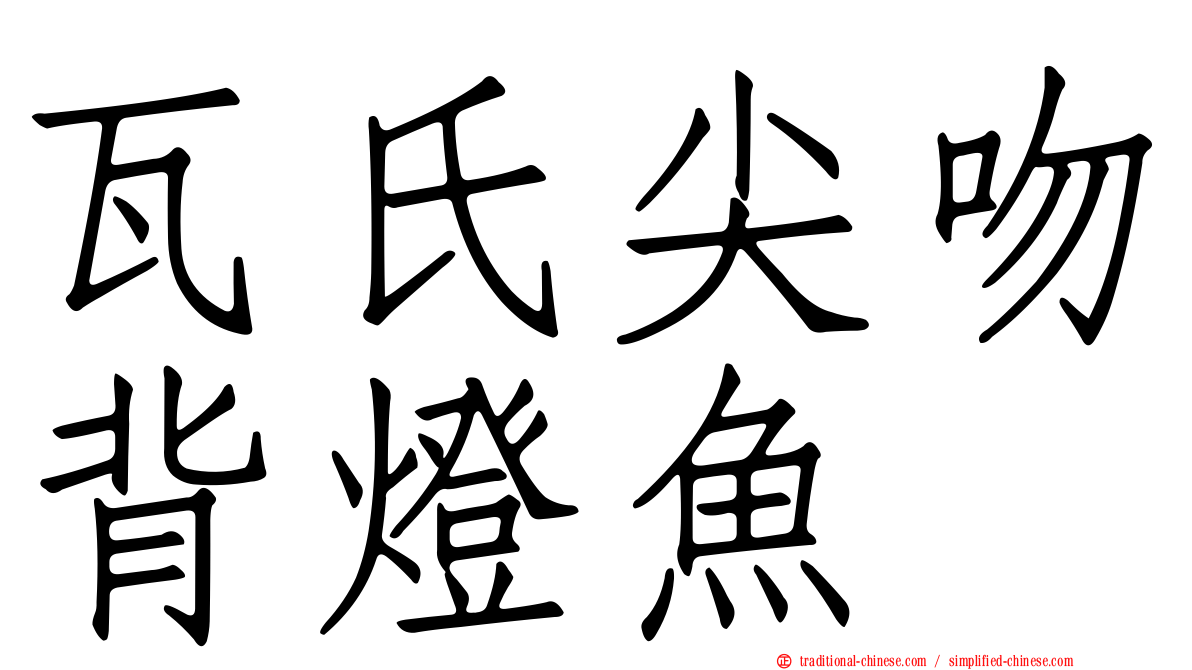 瓦氏尖吻背燈魚