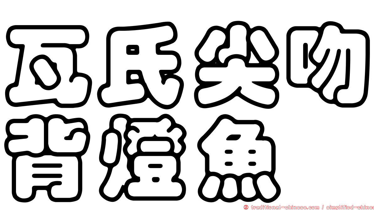 瓦氏尖吻背燈魚