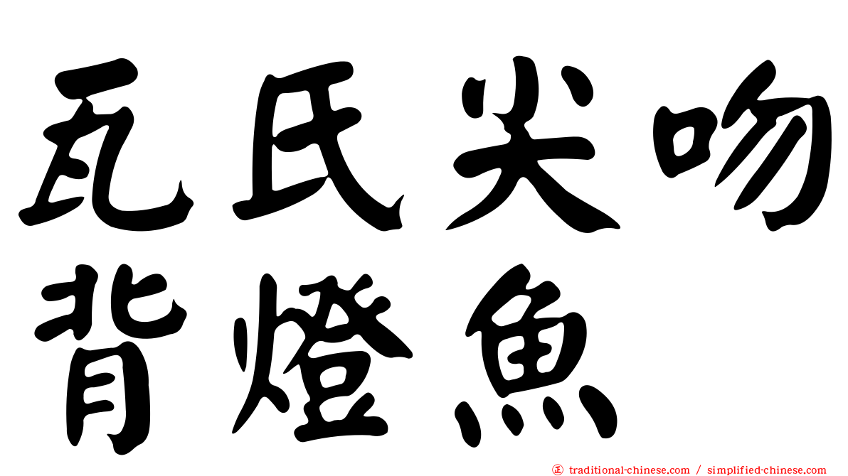 瓦氏尖吻背燈魚