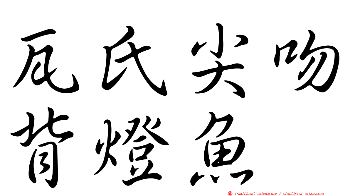 瓦氏尖吻背燈魚