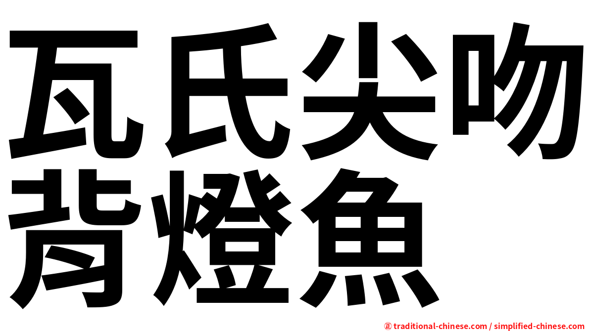瓦氏尖吻背燈魚