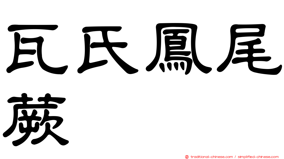 瓦氏鳳尾蕨