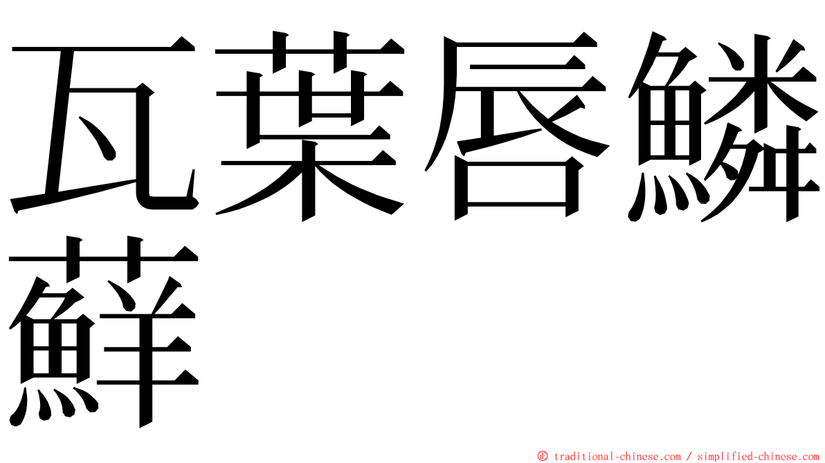 瓦葉唇鱗蘚 ming font