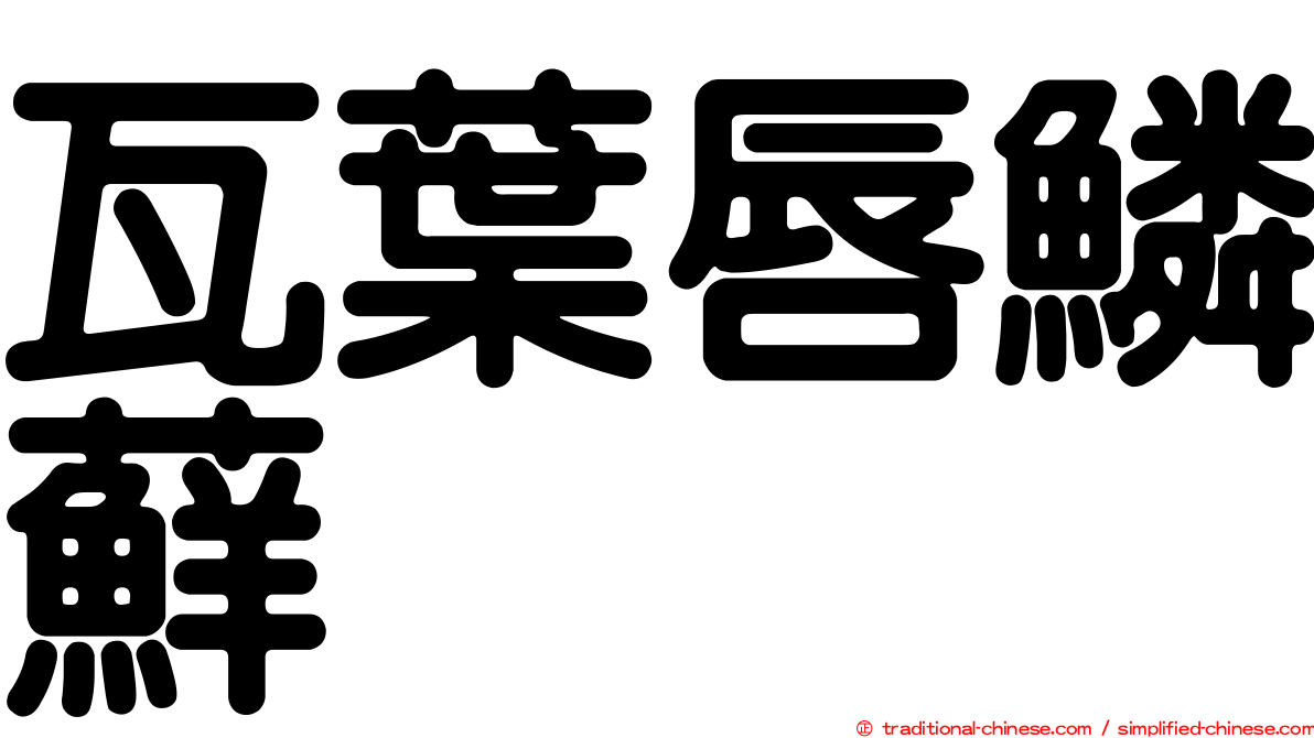 瓦葉唇鱗蘚