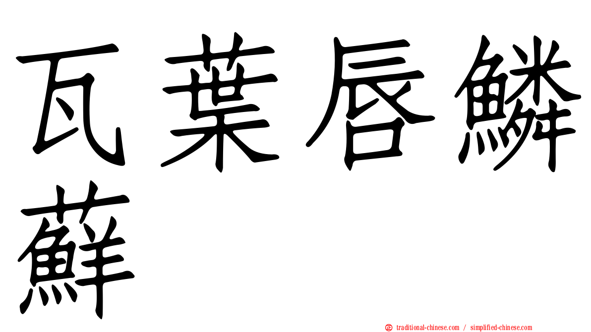 瓦葉唇鱗蘚