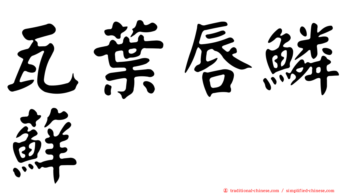 瓦葉唇鱗蘚