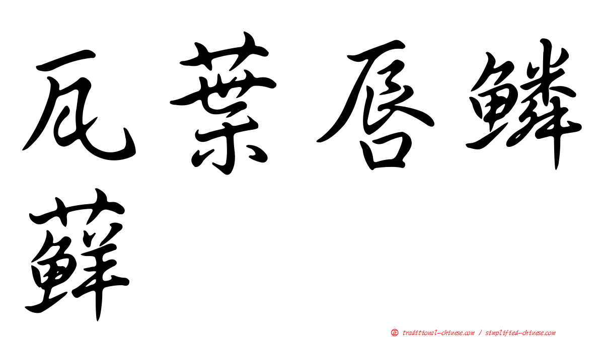瓦葉唇鱗蘚