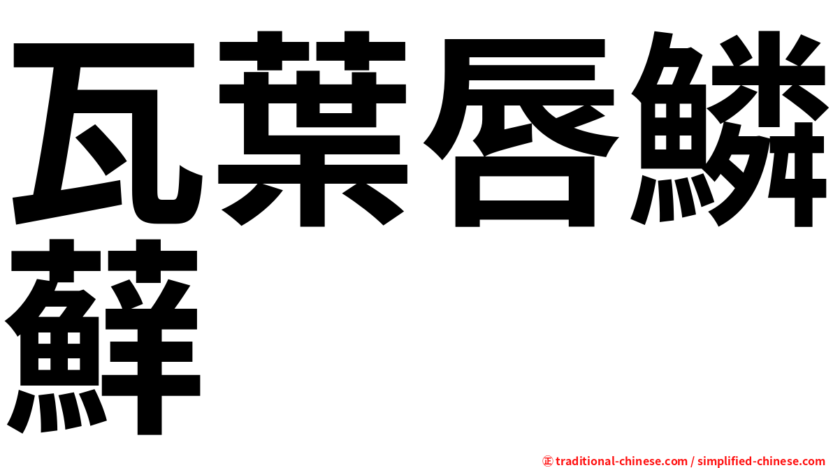 瓦葉唇鱗蘚