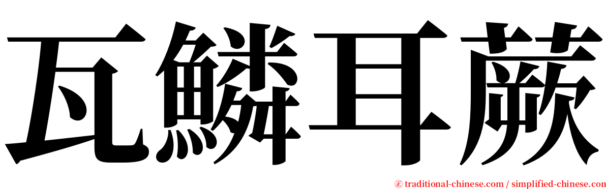 瓦鱗耳蕨 serif font