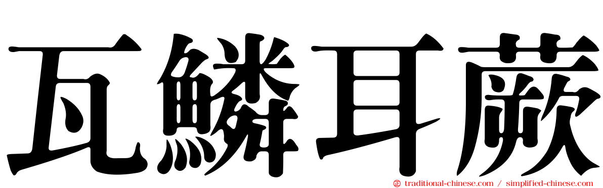 瓦鱗耳蕨