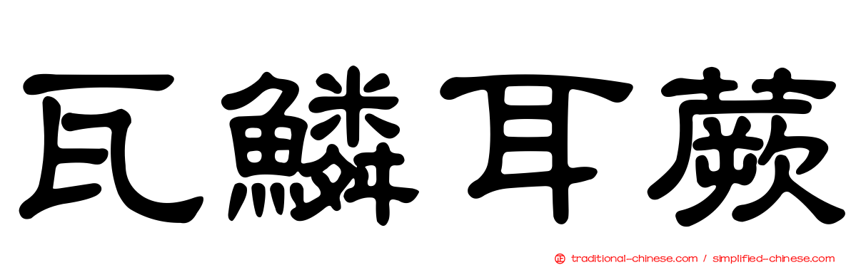 瓦鱗耳蕨