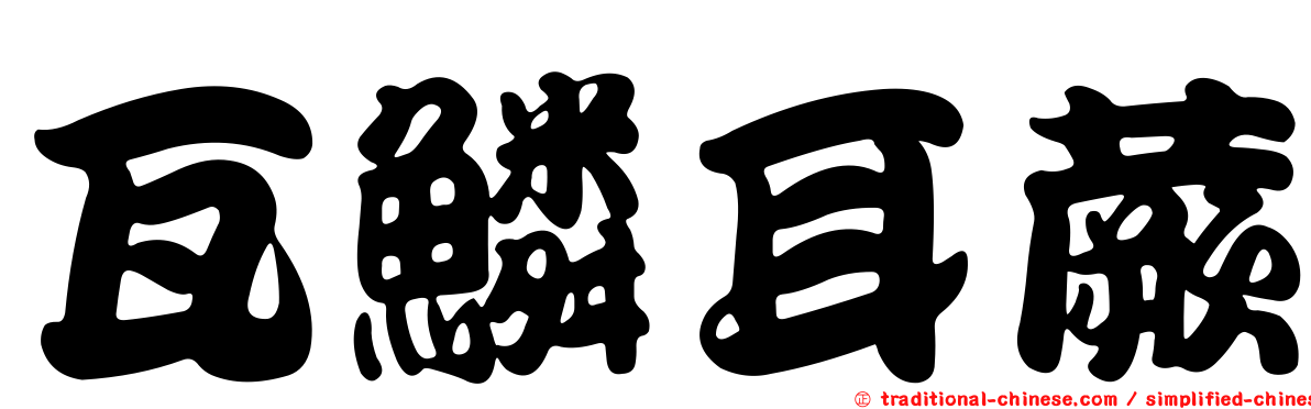 瓦鱗耳蕨
