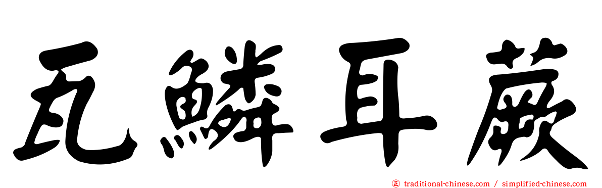 瓦鱗耳蕨