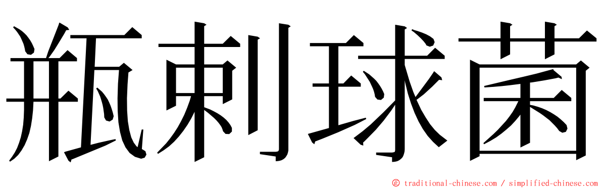 瓶剌球菌 ming font