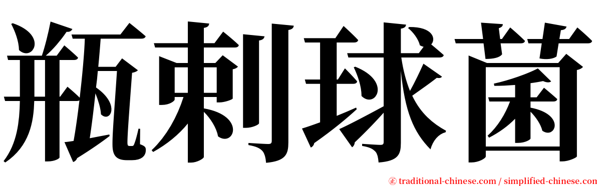 瓶剌球菌 serif font