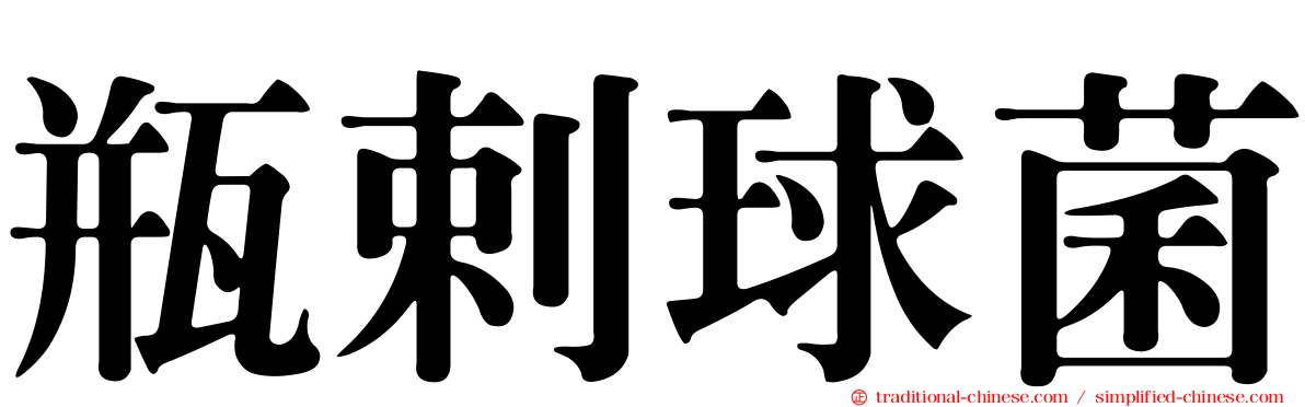 瓶剌球菌