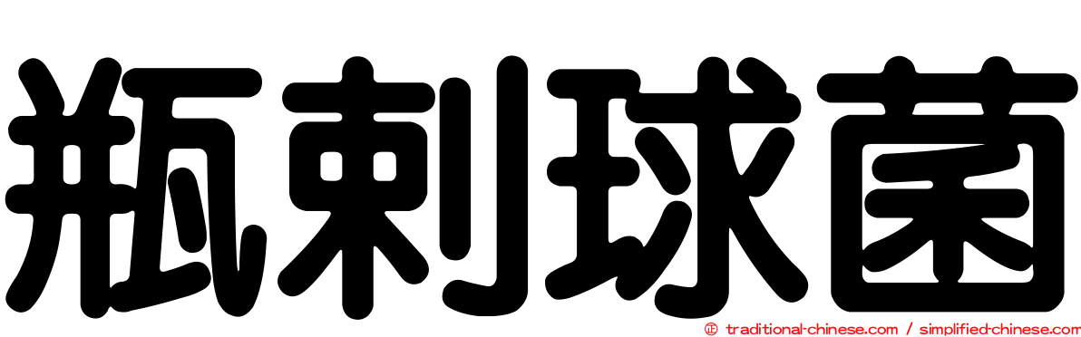 瓶剌球菌