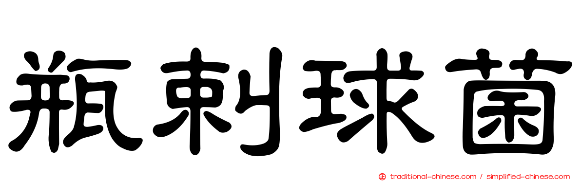 瓶剌球菌