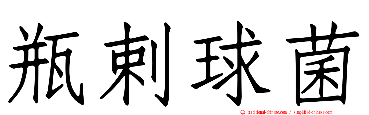 瓶剌球菌