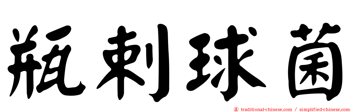 瓶剌球菌