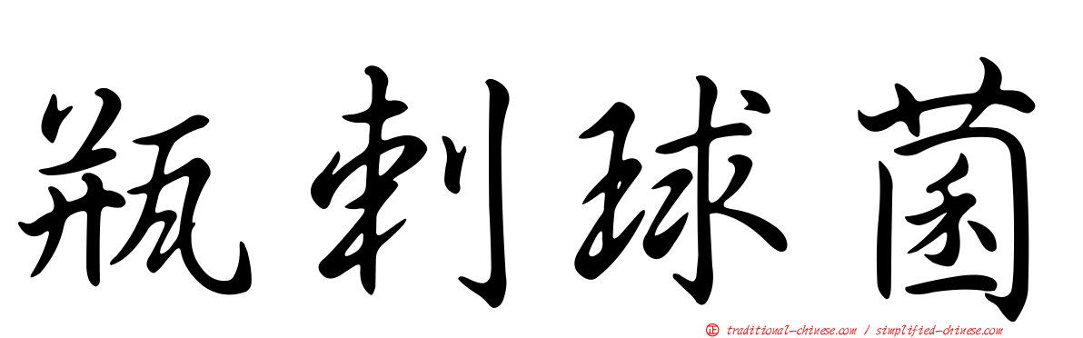 瓶剌球菌