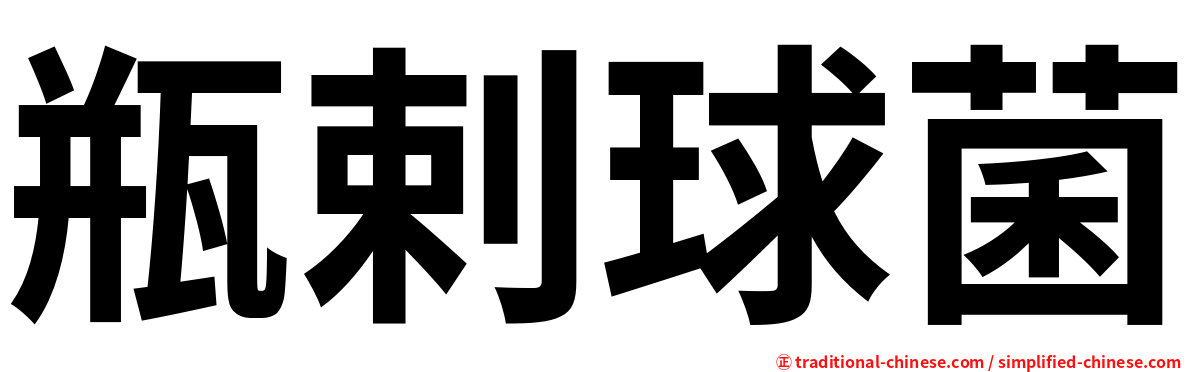 瓶剌球菌