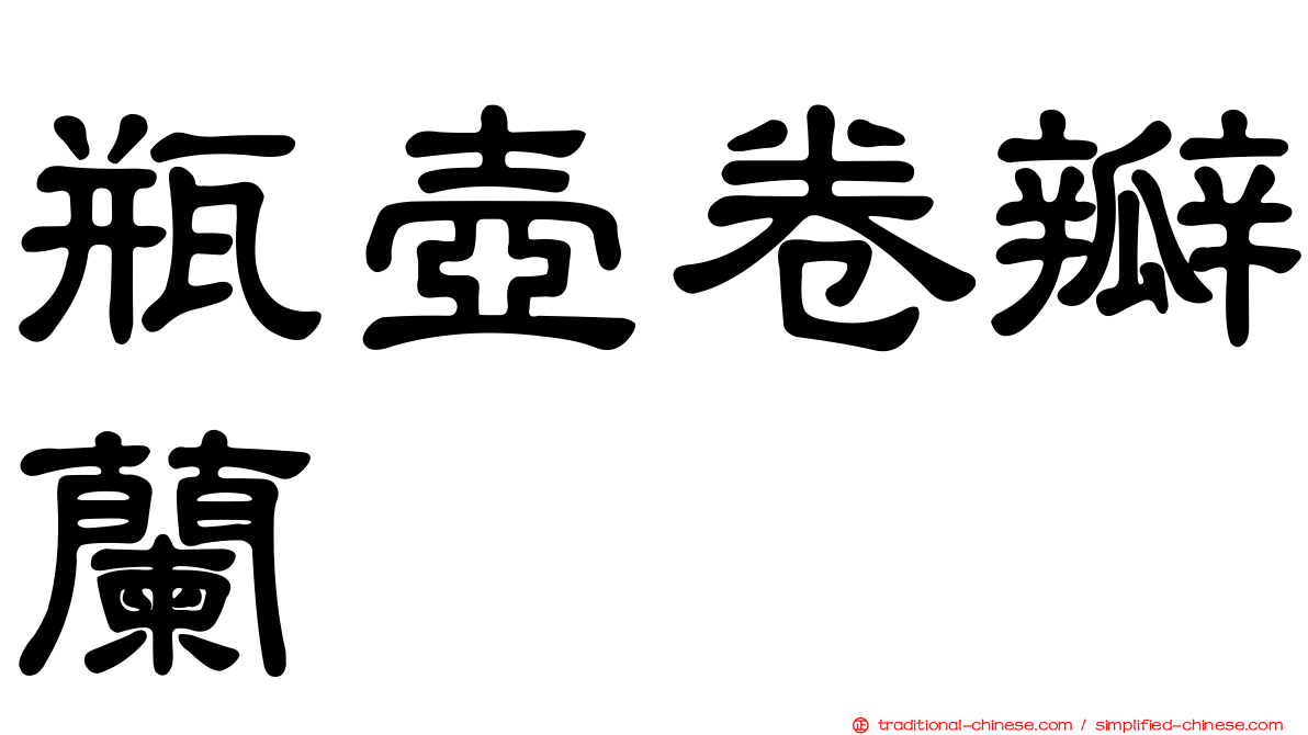 瓶壺卷瓣蘭