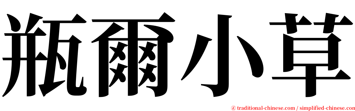 瓶爾小草 serif font
