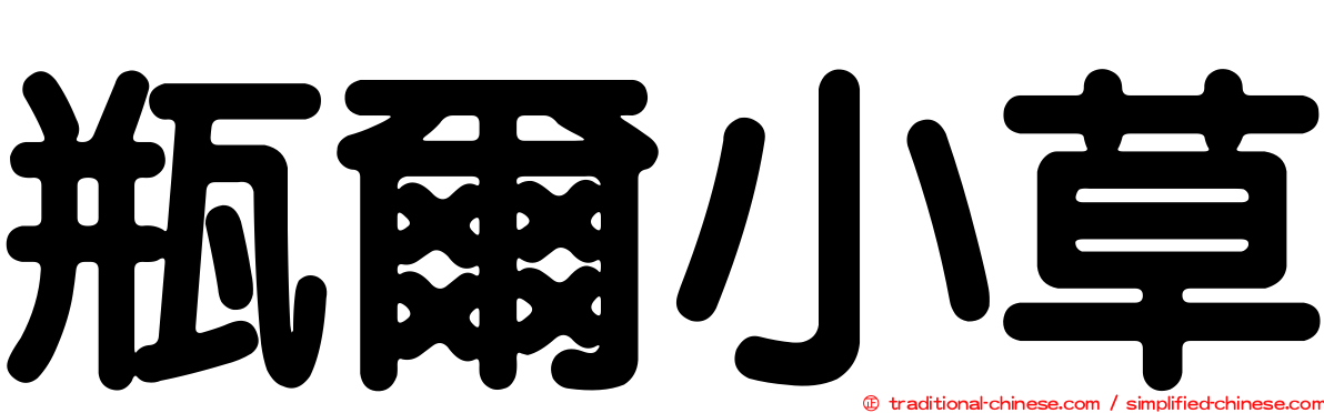 瓶爾小草