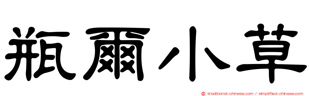 瓶爾小草