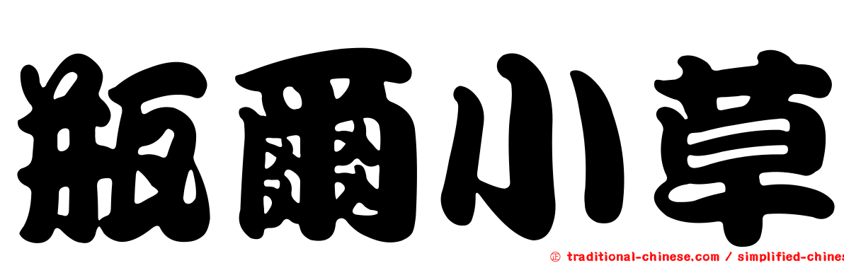 瓶爾小草