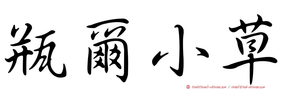 瓶爾小草