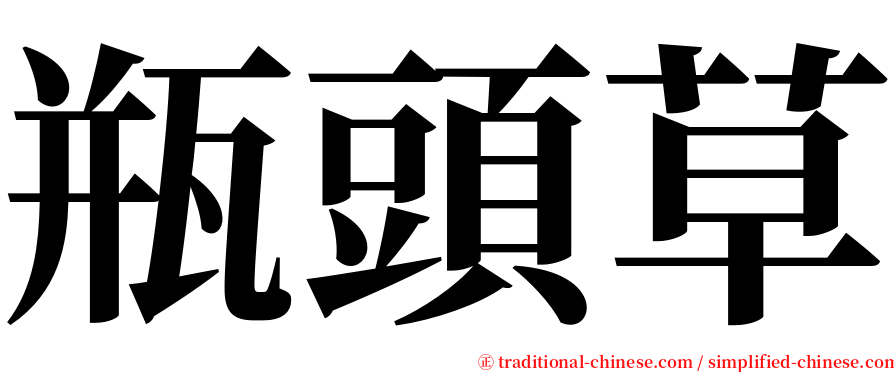 瓶頭草 serif font