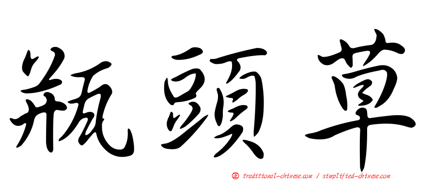 瓶頭草