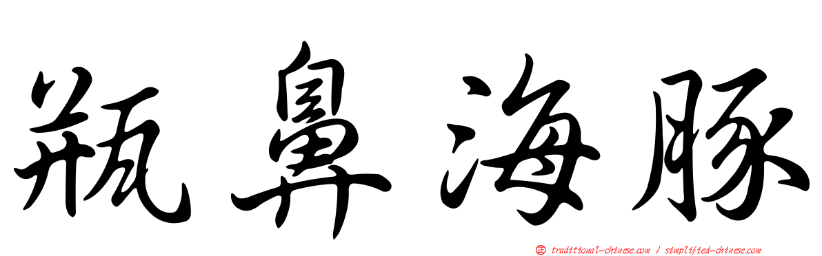 瓶鼻海豚