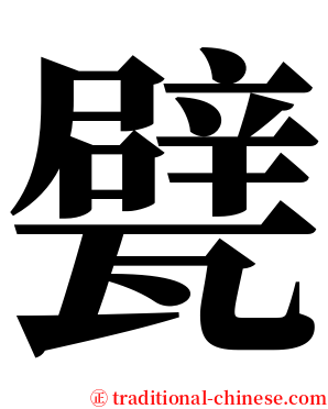 甓 serif font