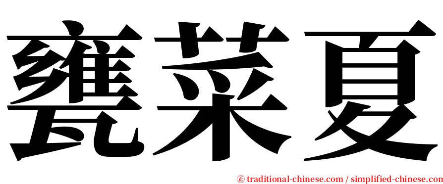 甕菜夏 serif font