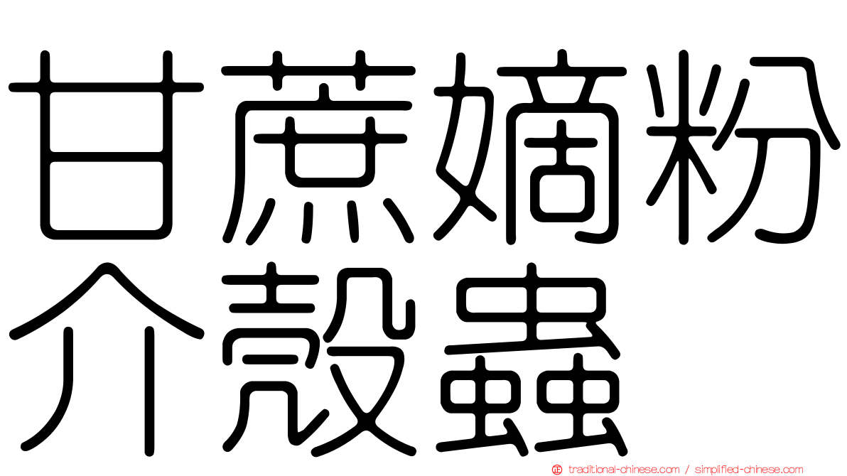 甘蔗嫡粉介殼蟲
