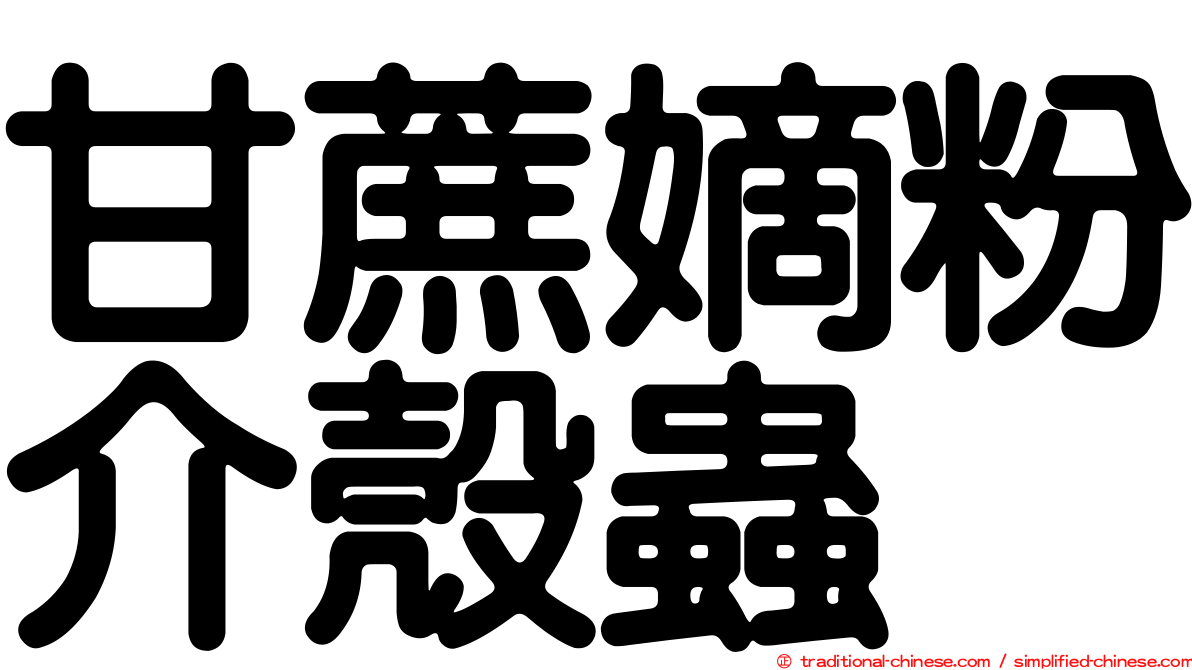 甘蔗嫡粉介殼蟲