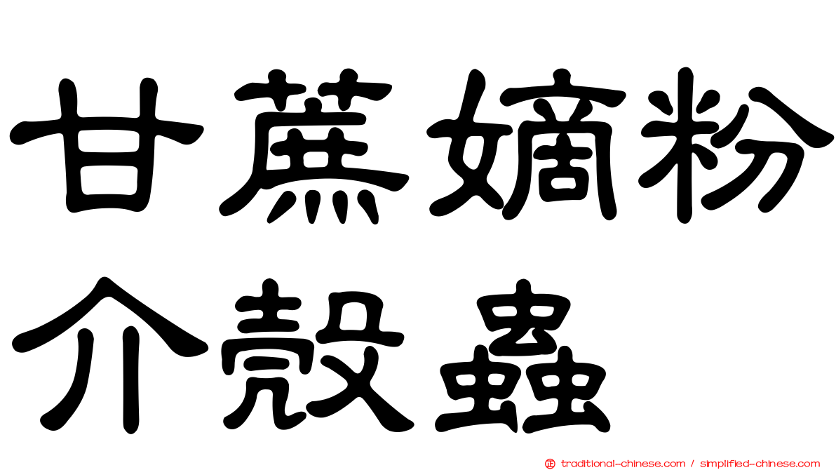 甘蔗嫡粉介殼蟲