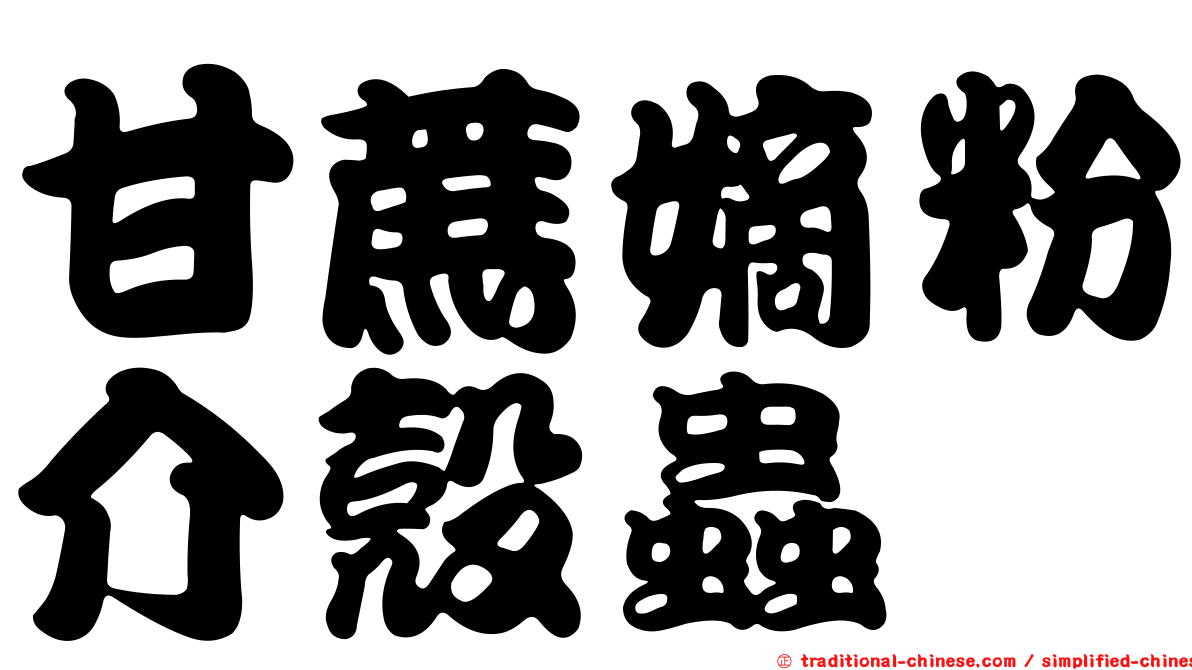 甘蔗嫡粉介殼蟲