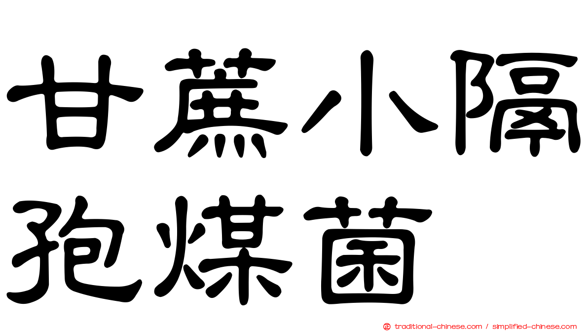 甘蔗小隔孢煤菌