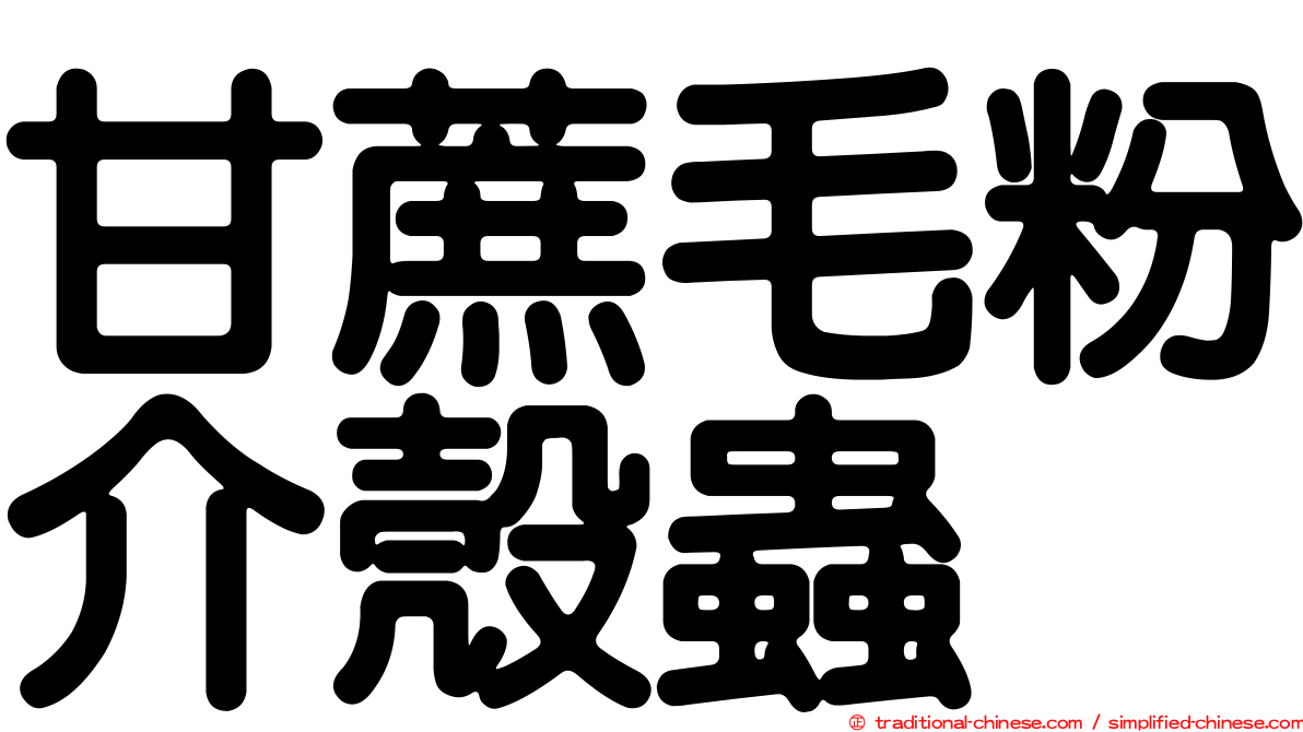甘蔗毛粉介殼蟲